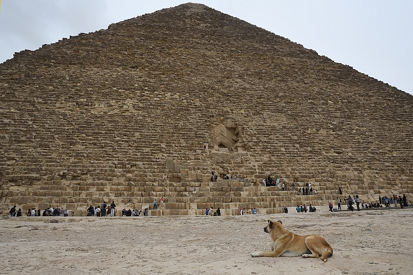 25 MAK_6756.jpg - Il lato nord della Grande Piramide di Cheope.